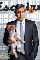 magazine-cover-design (44)