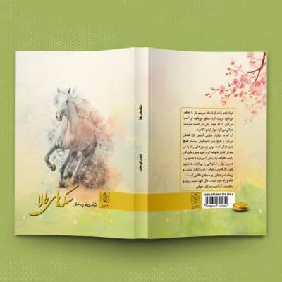 نمونه کار طراحی جلد کتاب فارسی داستانی با عنوان سکه های طلا
