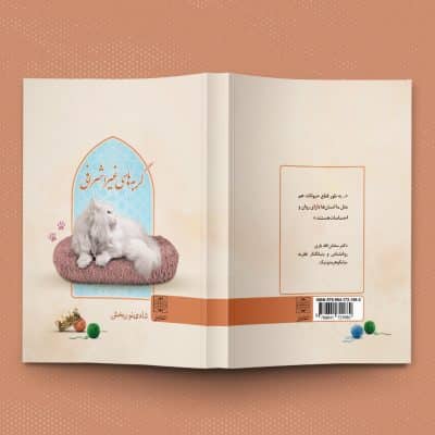 طرح روی جلد کتاب رقعی گربه های غیر اشرافی