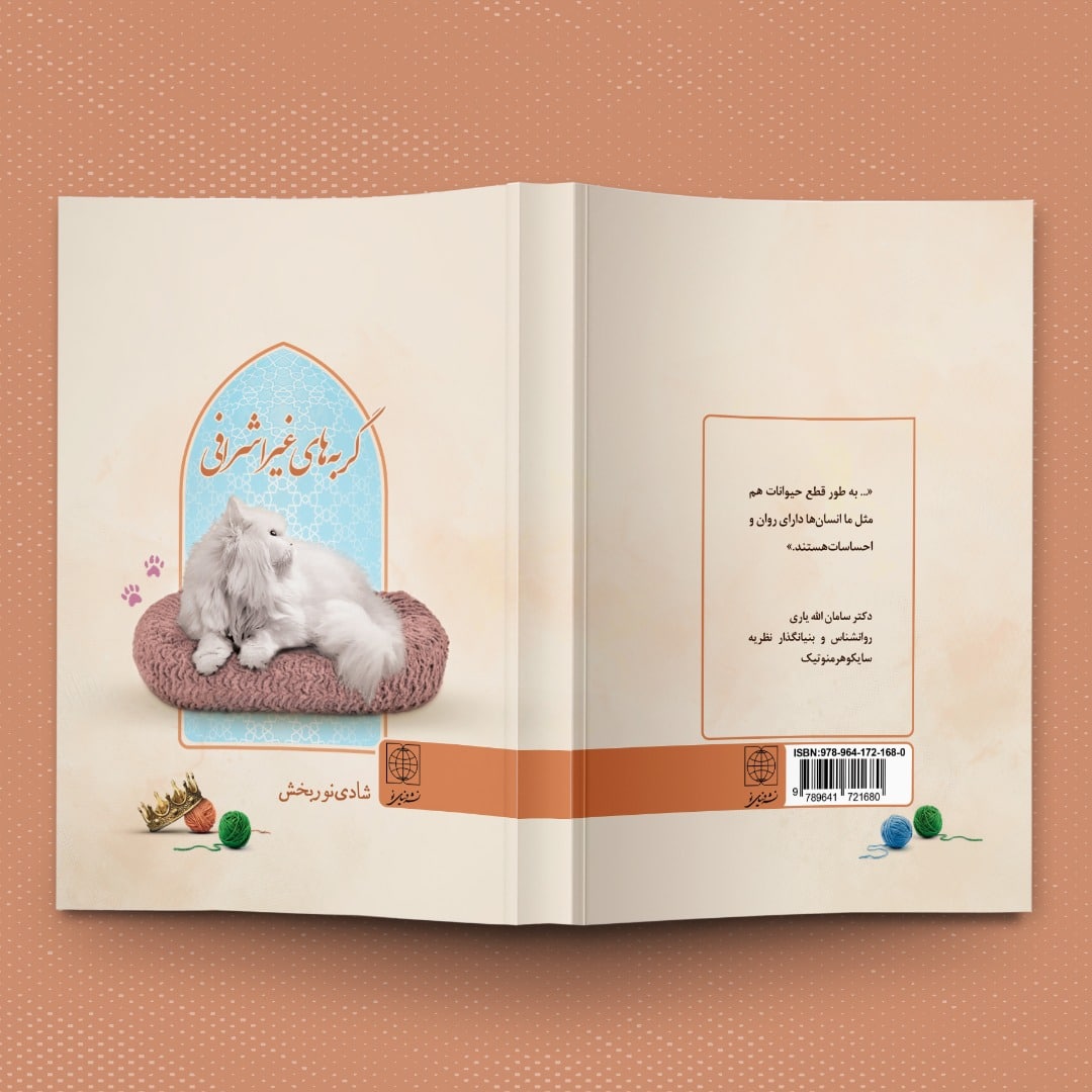 طرح روی جلد کتاب رقعی گربه های غیر اشرافی