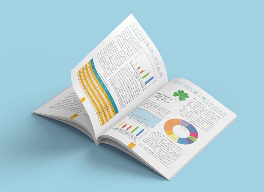 نمونه کار طراحی گزارش عملکرد شرکت بیمه ایران معین