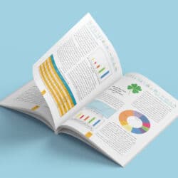 نمونه کار طراحی گزارش عملکرد شرکت بیمه ایران معین