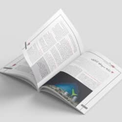 نمونه کار صفحه آرایی مجله با موضوع برندینگ و صنعت و بازار