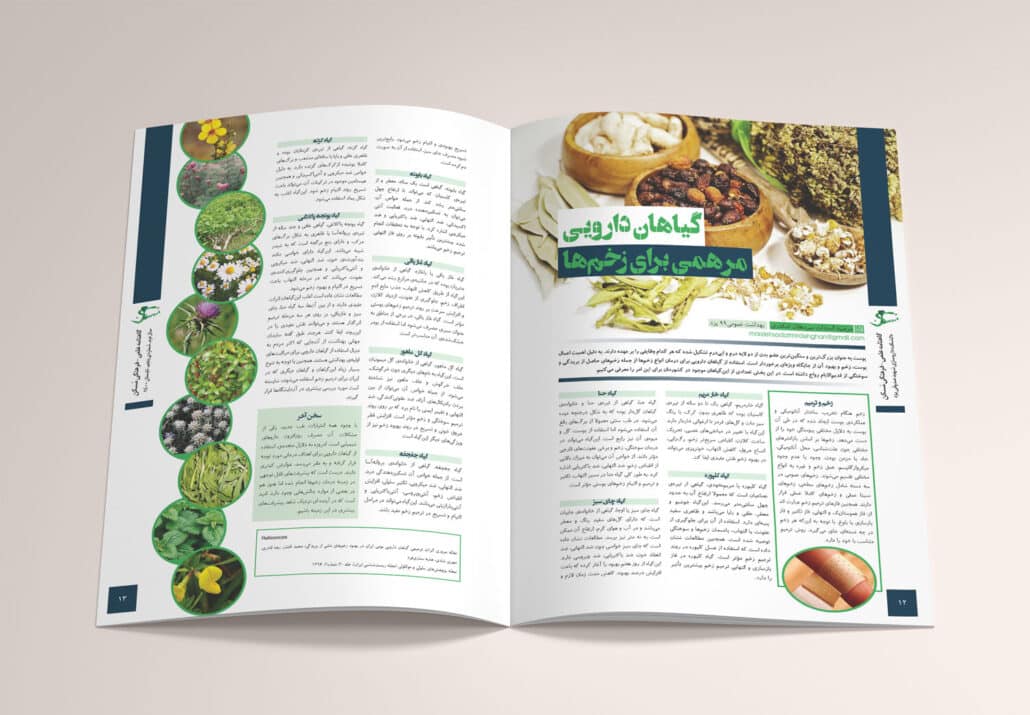 نمونه کار صفحه بندی مجله با موضوع پزشکی و داروسازی