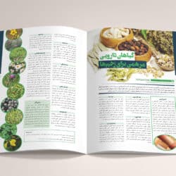 نمونه کار صفحه بندی مجله با موضوع پزشکی و داروسازی